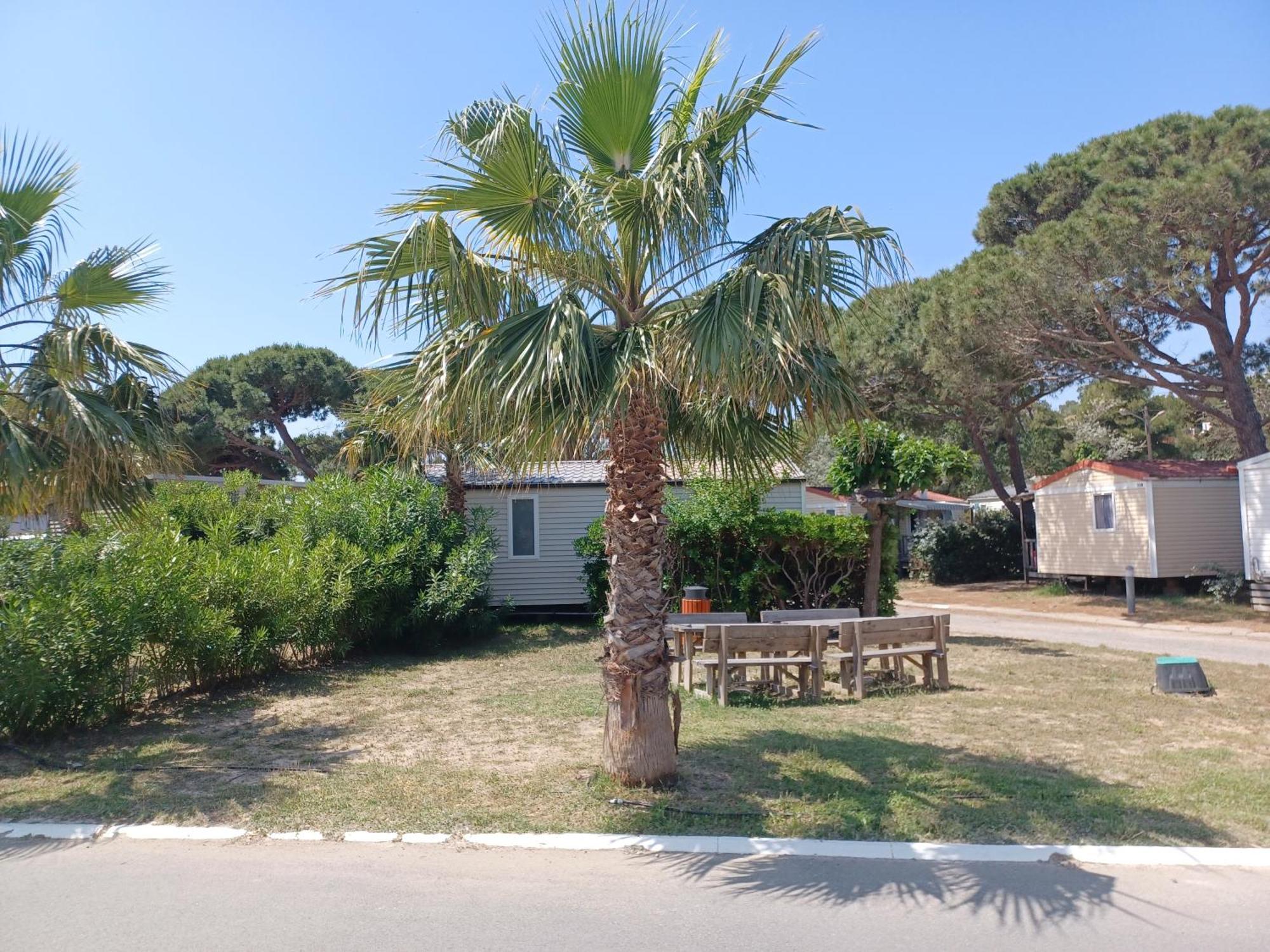 Mobil-Home Pour 6 Personnes Narbonne Extérieur photo